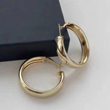 XE154 - Elegant Ring Hook Earrings