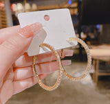 XE147 - Elegant Hoop Earrings